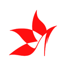 丽柜栏目图